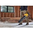 Аккумуляторный набор садовой техники DEWALT, 18 В: мойка высокого давления DCMPW1600 + воздуходувка DCMBL562, с 2 АКБ 5 Ач и ЗУ