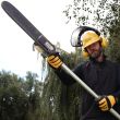 Аккумуляторный сучкорез-высоторез DEWALT DCMPS635N, 54 В, 25 см, 15.6 м/с, без АКБ и ЗУ (DCMPS635N-XJ)