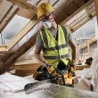 Аккумуляторная аллигаторная пила DEWALT DCS398T2, 54 В, 2400 ход/мин, 40 мм, с 2 АКБ 2 Ач и ЗУ (DCS398T2-QW)